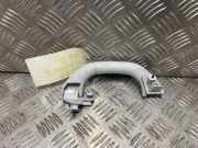 Handgriff RECHTS ACHTER 1K0857607NY20 Volkswagen Tiguan (5N1/2) SUV 2.0 TDI 16V Blue Motion (CFFD) CFFD