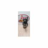 Servolenkung Pumpe 1629092180 Citroën CITROEN C4 2 PHASE 1 1.6 HDI - 8V TURBO 2013