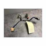 Kennzeichenbeleuchtung RECHTS Toyota Urban Cruiser SUV 1.4 D-4D AWD (1NDTV) 2012