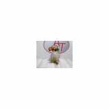 Ausgleichbehälter 9800777280 Citroën C3 (SC) Schrägheck 1.6 HDi 16V (DV6C(9HR)) 2010