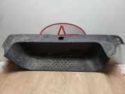 Trittbrett Fiat Talento Van 1.6 MultiJet Biturbo 120 (R9M-413(R9M-H4))