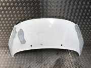 Motorhaube 7901N2 Peugeot 207/207+ (WA/WC/WM) Schrägheck 1.6 HDi 16V (DV6ATED4(9HX))