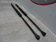 Gasdruckfeder Hinten 51785412 Fiat 500 (312) Schrägheck 1.2 69 (169.A.4000)