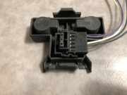 Kennzeichenbeleuchtung LINKS Renault Megane (BA) Schrägheck 5-drs 1.4 16V (K4J-750)