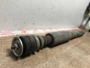 Stoßdämpfer Rechts Hinten 4180062J01 Suzuki Swift (ZA/ZC/ZD1/2/3/9) Schrägheck 1.3 D 16V (Z13DTJ)