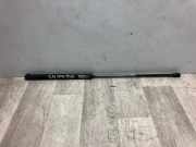Gasdruckfeder Links Hinten 00008731J8 Citroën C4 Berline (LC) Schrägheck 5-drs 1.6 HDi 16V 110 (DV6TED4(9HZ))