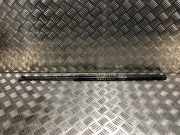 Gasdruckfeder Hinten 8200497806 Renault Kangoo Express (FW) Van 1.5 dCi 75 (K9K-608(K9K-B6))