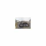 Tank Subaru Impreza III (GH/GR) Schrägheck 5-drs 2.0D AWD (EE20) 2009
