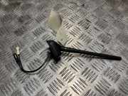 Antenne 1634839680 Citroën C4 Aircross (BU) SUV 1.6 HDi 16V 115 AWC (DV6C(9HD))