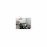 Sicherheitsgurt Links Vorne 1J4857705AAHCP Volkswagen Bora (1J2) Limousine 1.6 (APF) 1999 APF