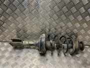 Federbein Rechts Vorne 8200662261 Renault Clio II Societe (SB) Van 1.5 dCi 65 (K9K-704)