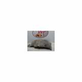 Innenkotflügel Links Hinten 868214P500 Hyundai i20 Schrägheck 1.2i 16V (G4LA) 2014