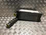 Ladeluftkühler 00000384N9 Citroën DS4 (NX) Schrägheck 1.6 e-HDi 16V 115 (DV6C(9HD))