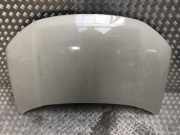 Motorhaube 5730054P00 Suzuki Vitara (LY/MY) SUV 1.6 16V VVT (M16A)