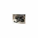 Sicherheitsgurt Links Vorne 1846141 Ford Grand C-Max (DXA) Großraumlimousine 1.6 TDCi 16V (T1DA) 2011