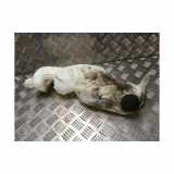 Scheibenwaschbehälter 289103672R Dacia Dokker (0S) Großraumlimousine 1.5 dCi 90 (K9K-612(K9K-C6)) 2016