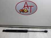 Gasdruckfeder Hinten 8200299546 Volkswagen Golf VI (5K1) Schrägheck 1.6 TDI 16V (CAYC) CAYC