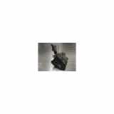 Tank Volkswagen Eos (1F7/F8) Cabrio 2.0 TDI DPF (BMM) 2007 BMM