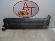 Ladeluftkühler 8200700172 Renault Scénic II (JM) Großraumlimousine 1.9 dCi 120 (F9Q-812)