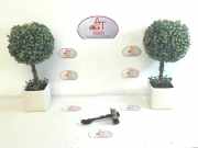 Türschloß Rechts Vorne C 8200385349 Renault Twingo II (CN) Schrägheck 3-drs 1.2 16V (D4F-772)