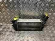 Ladeluftkühler 00000384P3 DS DS 5 Schrägheck 2.0 BlueHDi 180 16V (DW10FC(AHW)) DW10FC(AHW)