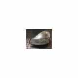 Scheinwerferglas Links 7701069734 Renault Modus/Grand Modus (JP) Großraumlimousine 1.5 dCi 85 (K9K-766) 2009