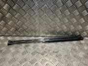Gasdruckfeder Hinten 9836764480 Peugeot 308 SW (F4/FC/FN/FR) Kombi 5-drs 1.5 Blue HDi 130 16V (DV5RC(YHZ))