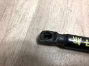 Gasdruckfeder Hinten 2444429 Ford Fiesta 7 Schrägheck 1.5 TDCi 85 (XUJM)