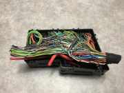 Sicherungskasten Ford Kuga I SUV 2.0 TDCi 16V 163 4x4 (TXDA)