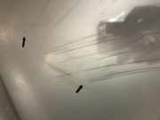 Motorhaube 95551101102GRV Porsche Cayenne (9PA) SUV 4.5 V8 32V Turbo (M48.50)