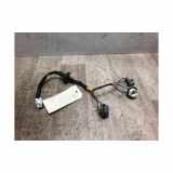 Kennzeichenbeleuchtung LINKS 26556JY00A Renault Koleos I SUV 2.0 dCi 16V 4x4 (M9R-865) 2011