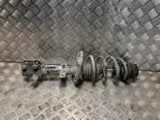 Federbein Rechts Vorne 543024593R Dacia Sandero III Schrägheck 1.0 TCe 90 12V (H4D-470(H4D-E4))