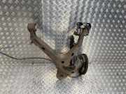 Radaufhängung Links Hinten 1695174280 Peugeot Expert (V1/VA/VB/VE/VF/VT/VY) Van 2.0 Blue HDi 180 16V (DW10FC(AHH))