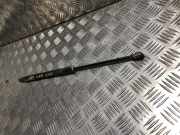 Gasdruckfeder Hinten 844308661R Renault Clio IV (5R) Schrägheck 5-drs 1.5 Energy dCi 90 FAP (K9K-608(K9K-B6))