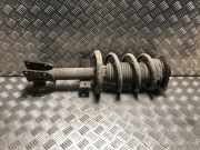 Federbein Rechts Vorne 543028774R Renault Master III (FV) Van 2.3 dCi 110 16V FWD (M9T-870)