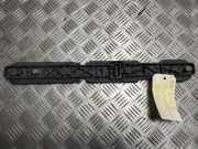 Kennzeichenbeleuchtung LINKS Renault Master III (FV) Van 2.3 dCi 125 16V FWD (M9T-710)