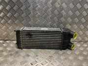 Ladeluftk?hler 0384J4 Peugeot 207 SW (WE/WU) Kombi 1.6 HDi 16V (DV6ATED4(9HX))