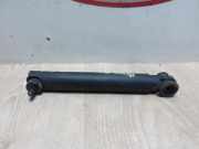 Gasdruckfeder Links Hinten BMW X5 (E70) SUV xDrive 30d 3.0 24V (M57N2-D30(306D3))