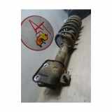 Stoßdämpfer Rechts Hinten RSC000040 Land + Range Rover Freelander Hard Top Geländewagen 2.0 td4 16V (204D3) 2003