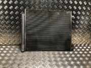 Luft-Kühler 921006951R Nissan Qashqai (J11) SUV 1.2 DIG-T 16V (HRA2DDT)