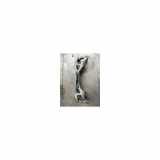 Hinterachse Komplett Porsche Cayenne (9PA) SUV 4.5 V8 32V Turbo (M48.50) 2004
