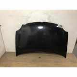 Motorhaube 6QE823031B Volkswagen Polo IV (9N1/2/3) Schrägheck 1.4 TDI 75 (AMF) 2004 AMF