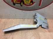 Motorhaubescharnier 654010003RL Renault Megane III Coupe (DZ) Schrägheck 3-drs 1.6 Energy dCi 130 (R9M-402(R9M-A4))