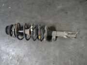 Federbein Links Vorne 51857949 Fiat Panda (169) Schrägheck 1.3 JTD 16V Multijet (188.A.8000)