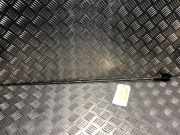 Antenne Renault Laguna III (BT) Schrägheck 5-drs 1.5 dCi 110 (K9K-780)