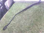 Scheibenwischer Links Vorne 6429CL Peugeot Expert (G9) Van 2.0 HDiF 16V 130 (RH02)