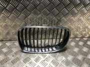 Grill Zierliste Links Vorne 51137166439 BMW 1 serie (E87/87N) Schrägheck 5-drs 116d 16V (N47-D20C)