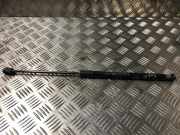 Gasdruckfeder Hinten 00008731V8 Citroën C4 Berline (NC) Schrägheck 5-drs 1.6 e-HDI (DV6C(9HR))