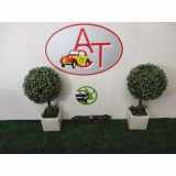 Warnleuchte Schalter 735451107 Fiat 500 (312) Schrägheck 1.3 MJTD 16V (169.A.1000)