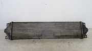 Ladeluftkühler Renault Master III (ED/HD/UD) Ch.Cab 2.5 dCi 16V 100 (G9U-650)